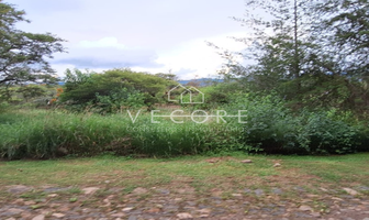 Foto de inmueble en Circuito del Quetzal, Col. Atemajac de Brizuela C.P. 45790, Atemajac de Brizuela