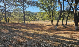 Foto de inmueble en Prol. Mariano Otero, Col. Bosques de la Primavera C.P. 45133, Zapopan