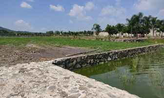 Foto de inmueble en , Col. Cajititlán C.P. 45670, Tlajomulco de Zúñiga