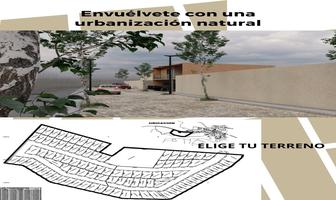 Foto de inmueble en articulo 27, Col. Chapala Centro C.P. 45900, Chapala