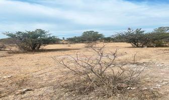 Foto de inmueble en Carretera Lagos de Moreno, Col. Ciudad Maderas C.P. 47539, Lagos de Moreno