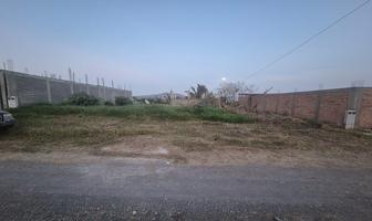 Foto de inmueble en , Col. Ciuhapilli C.P. 49817, Tuxpan
