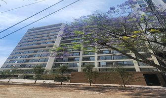 Foto de inmueble en Hipodromo, Col. Colomos Providencia C.P. 44660, Guadalajara