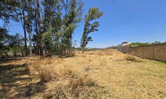 Foto de inmueble en camino a los arcos, Col. Cuchillas C.P. 45439, Zapotlanejo