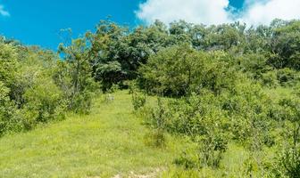 Foto de inmueble en COLOMITOS, Col. Cuspala C.P. 45341, Tala