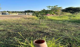 Foto de inmueble en Autopista Guadalajara Tepic, Col. El Arenal C.P. 45350, El Arenal