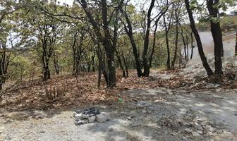 Foto de inmueble en Palomar, Col. El Palomar C.P. 45643, Tlajomulco de Zúñiga