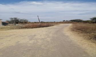 Foto de inmueble en tezontle, Col. El Sabino C.P. 45680, El Salto
