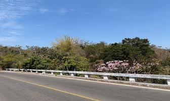 Foto de inmueble en Terreno en Venta en El Tuito Cabo Corrientes de 100 Hectareas Sobre Carretera Federal 200 Jalisco, Col. El Tuito C.P. 48400, Cabo Corrientes