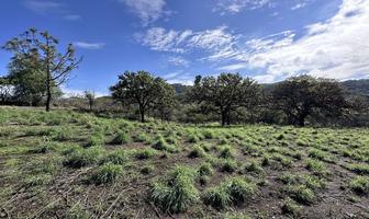Foto de inmueble en Camino al Cerro, Col. Hacienda La Herradura C.P. 45227, Zapopan