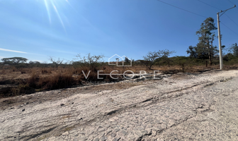 Foto de inmueble en Paseo del Cedro, Col. Hacienda La Herradura C.P. 45226, Zapopan