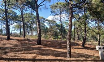 Foto de inmueble en , Col. Jardín Real de Mazamitla C.P. 49515, Mazamitla