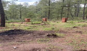 Foto de inmueble en , Col. Juanacatlan C.P. 49360, Tapalpa