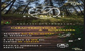 Foto de inmueble en , Col. Juanacatlan C.P. 49360, Tapalpa