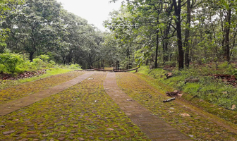 Foto de inmueble en Reserva de los Encinos, Col. La Estanzuela C.P. 46764, Teuchitlán