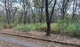 Foto de inmueble en Reserva de los encinos, Col. La Estanzuela C.P. 46764, Teuchitlán