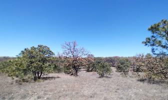 Foto de inmueble en Rancho Ecoturístico Agua Dulce en La Primavera, Col. La Primavera C.P. 45226, Zapopan