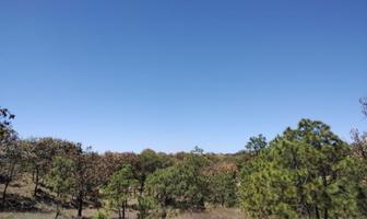 Foto de inmueble en Rancho Ecoturístico Agua Dulce en La Primavera, Col. La Primavera C.P. 45226, Zapopan