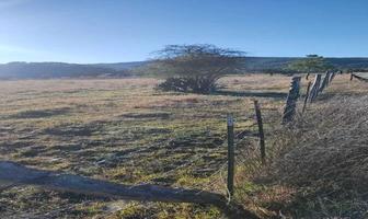 Foto de inmueble en Cam. Rincón de los pastores., Col. Lagunilla C.P. 49350, Tapalpa