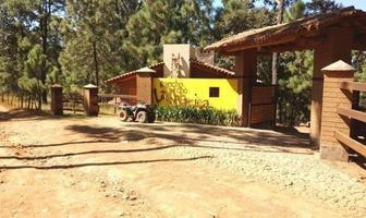 Foto de inmueble en Rancho La Trajalera, Col. Loma Alta C.P. 49340, Tapalpa