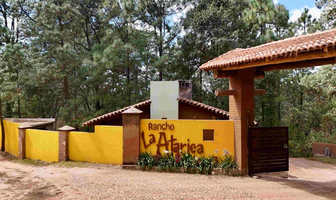 Foto de inmueble en Rancho La Trajalera, Col. Loma Alta C.P. 49340, Tapalpa
