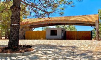 Foto de inmueble en Carretera centro tapalpa, Col. Los Espinos C.P. 49346, Tapalpa