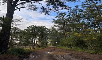 Foto de inmueble en Solar Rustico, Col. Los Espinos C.P. 49346, Tapalpa