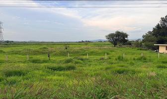 Foto de inmueble en , Col. Los Silos C.P. 45675, Tlajomulco de Zúñiga