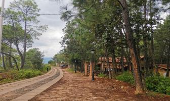 Foto de inmueble en Venta Terrenos Camino A Sierra Lago Mascota,  Jalisco, Col. Mascota C.P. 46900, Mascota