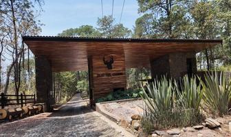 Foto de inmueble en Camino Real, Col. Mazamitla C.P. 49500, Mazamitla
