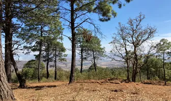 Foto de inmueble en Cuahutémoc #s/n, Col. Mazamitla C.P. 49500, Mazamitla