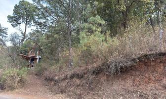 Foto de inmueble en Ecologia, Col. Mazamitla C.P. 49512, Mazamitla