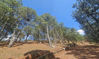 Foto de inmueble en El charco mazamitla jalisco, Col. Mazamitla C.P. 49500, Mazamitla