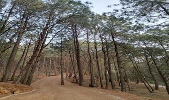 Foto de inmueble en Fracc. Grand Mazamitla, Col. Mazamitla C.P. 49500, Mazamitla