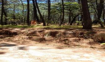 Foto de inmueble en Fraccionamiento Pinos de Mazamitla, Col. Mazamitla C.P. 49500, Mazamitla