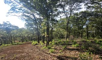 Foto de inmueble en Puerto de cuevas Mazamitla jalisco, Col. Mazamitla C.P. 49500, Mazamitla