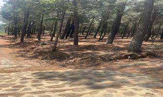 Foto de inmueble en Reserva Montealto, Col. Mazamitla C.P. 49500, Mazamitla