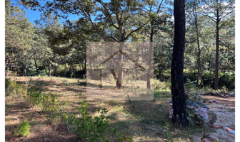 Foto de inmueble en fracc El  Ciervo, Col. Mazamitla C.P. 49533, Mazamitla