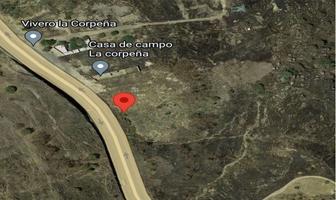 Foto de inmueble en La Corpeña, Col. Mesa Colorada Oriente C.P. 45189, Zapopan