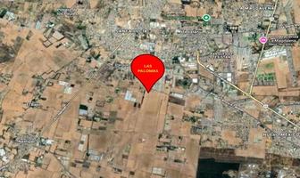 Foto de inmueble en Faisán 2880, Rancho Las Palomas, Tesistan, Jalisco, Col. Nextipac C.P. 45220, Zapopan
