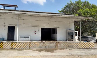 Foto de inmueble en Paseo de la Maternidad, Col. Paseos Del Briceño C.P. 45236, Zapopan