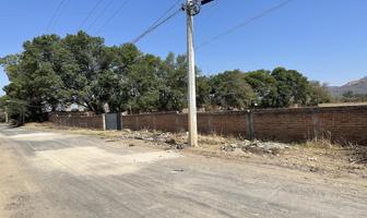 Foto de inmueble en Calle Doctores  #1, Col. Real de Tesistán C.P. 45200, Zapopan