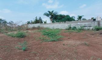 Foto de inmueble en Camino de la huerta, Col. San Antonio Juanacaxtle C.P. 45880, Juanacatlán