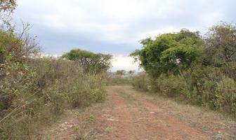Foto de inmueble en , Col. San Antonio Tlayacapan C.P. 45922, Chapala