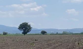 Foto de inmueble en Carretera a Tala, Santa Cruz de las Flores, Col. San Isidro Mazatepec C.P. 45340, Tala