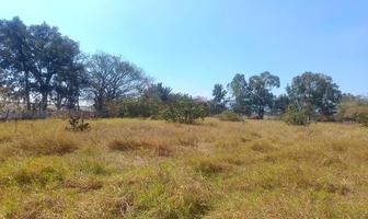 Foto de inmueble en El Maguey, Col. San Isidro Mazatepec C.P. 45344, Tala