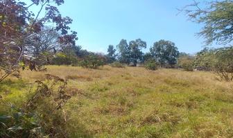 Foto de inmueble en El Maguey, Col. San Isidro Mazatepec C.P. 45344, Tala