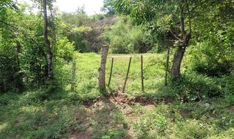 Foto de inmueble en , Col. San José del Tule C.P. 49873, Pihuamo
