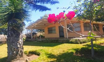 Foto de inmueble en Calle lago de chapala, Col. San Luis Soyatlan C.P. 49440, Tuxcueca