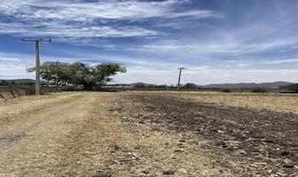Foto de inmueble en Camino a los Invernaderos, Col. San Miguel Cuyutlan C.P. 45660, Tlajomulco de Zúñiga